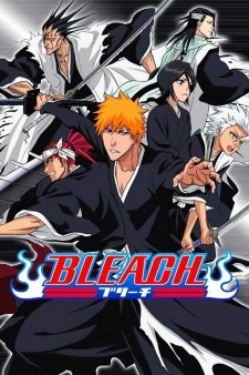 Bleach Banner